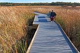 Sandra On The Marsh Boardwalk_09177